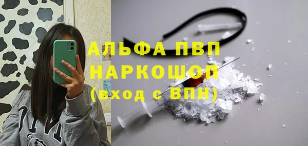 гидра Сосновоборск