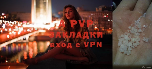 шишки Сосновый Бор