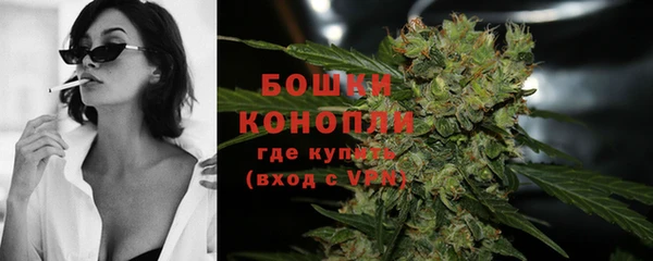 шишки Сосновый Бор