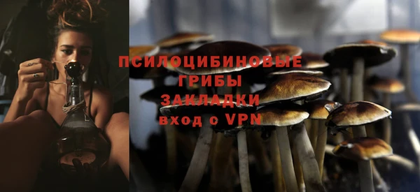 гидра Сосновоборск