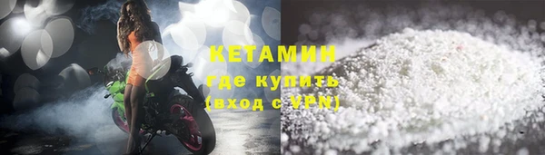 шишки Сосновый Бор