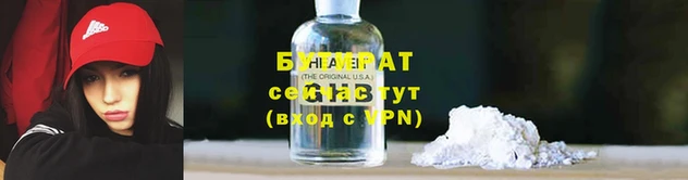 шишки Сосновый Бор