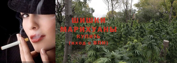 гидра Сосновоборск