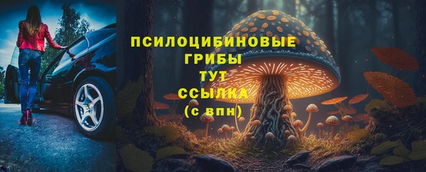 шишки Сосновый Бор