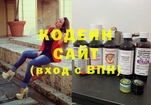 шишки Сосновый Бор