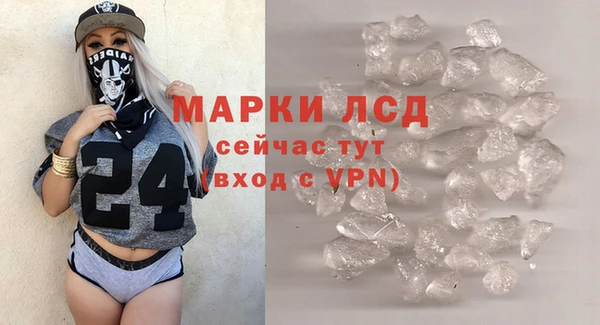 шишки Сосновый Бор