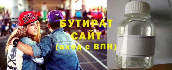 шишки Сосновый Бор