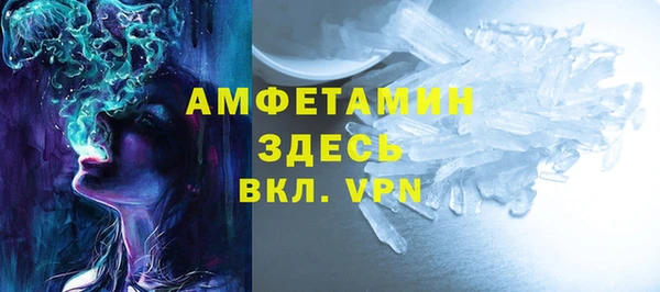 шишки Сосновый Бор