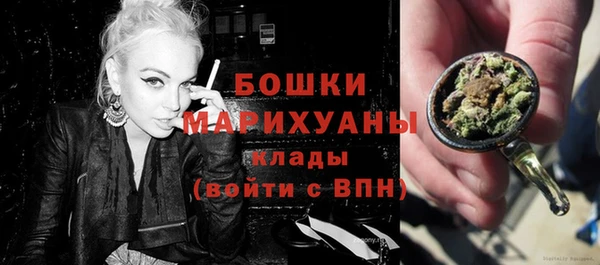 шишки Сосновый Бор