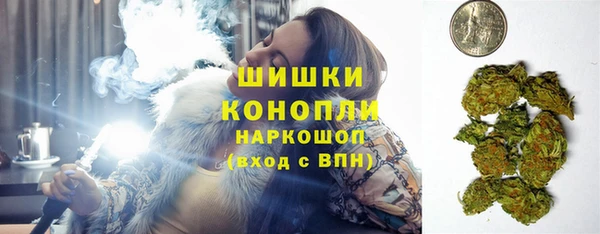 гидра Сосновоборск