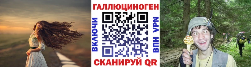 Псилоцибиновые грибы прущие грибы  Торопец 